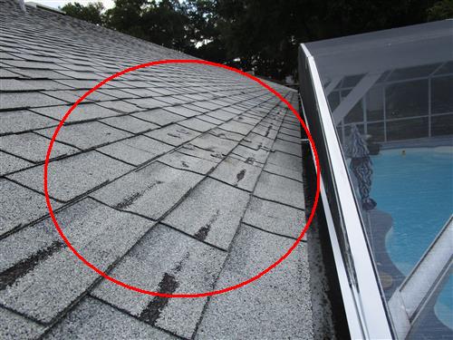 Town & Country pool and spa inspection photo 31