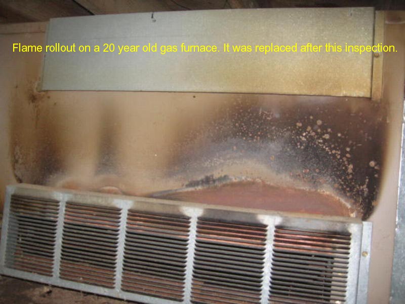 Town & Country mold testing photo 38